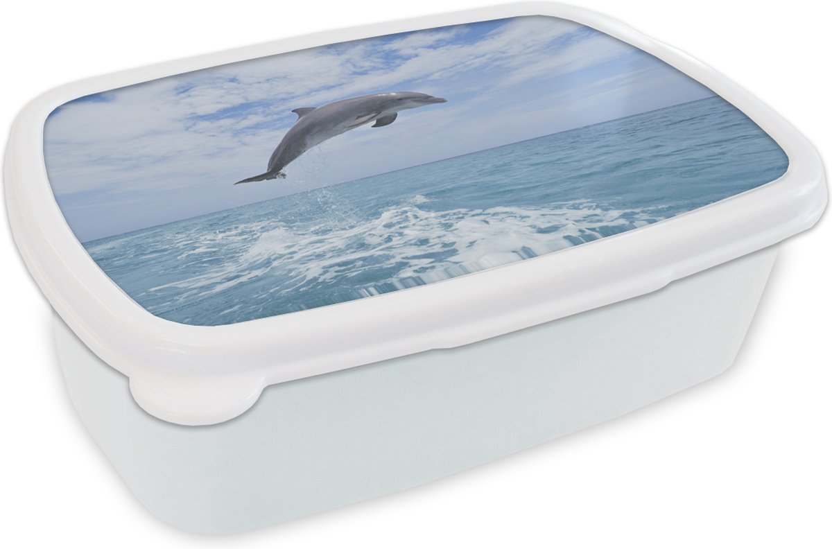 Broodtrommel Wit - Lunchbox - Brooddoos - Dolfijn - Zee - Lucht - 18x12x6 cm - Volwassenen