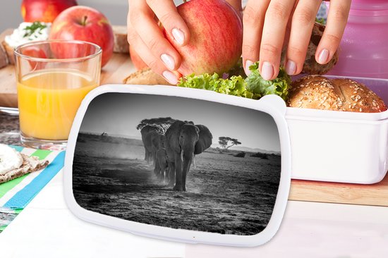 Broodtrommel Wit - Lunchbox - Brooddoos - Olifanten in Kenia in zwart-wit - 18x12x6 cm - Volwassenen