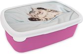 Broodtrommel Roze - Lunchbox - Brooddoos - Slapende kitten op een kleed - 18x12x6 cm - Kinderen - Meisje