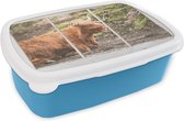 Broodtrommel Blauw - Lunchbox - Brooddoos - Schotse hooglander - Doorkijk - Natuur - 18x12x6 cm - Kinderen - Jongen