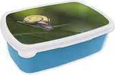 Broodtrommel Blauw - Lunchbox - Brooddoos - Slak met geel huisje - 18x12x6 cm - Kinderen - Jongen