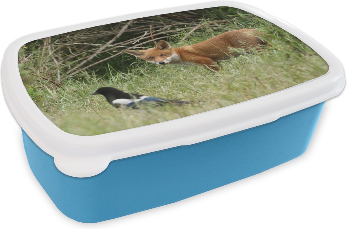 Broodtrommel Blauw - Lunchbox - Brooddoos - Dieren - Vogel - Vos - 18x12x6 cm - Kinderen - Jongen