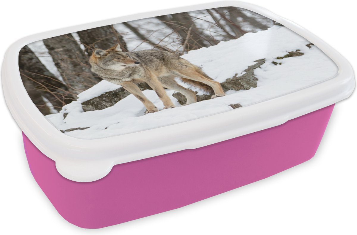 Broodtrommel Roze - Lunchbox - Brooddoos - Wolf - Sneeuw - Bos - 18x12x6 cm - Kinderen - Meisje
