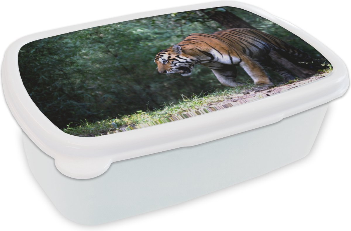 Broodtrommel Wit - Lunchbox - Brooddoos - Tijger - Bos - Bomen - 18x12x6 cm - Volwassenen