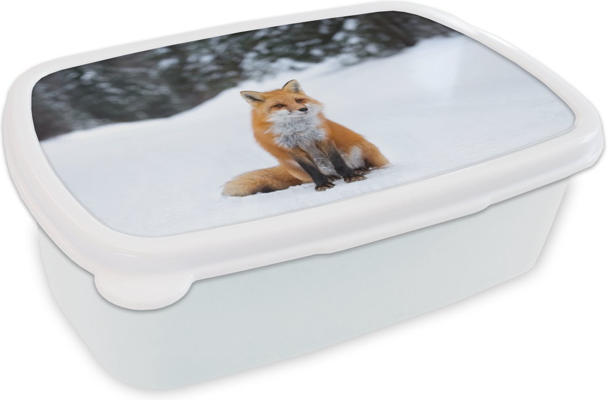 Broodtrommel Wit - Lunchbox - Brooddoos - Vos - Sneeuw - Bos - 18x12x6 cm - Volwassenen