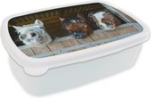 Broodtrommel Wit - Lunchbox Paarden - Dieren - Vacht - Stal - Brooddoos 18x12x6 cm - Brood lunch box - Broodtrommels voor kinderen en volwassenen