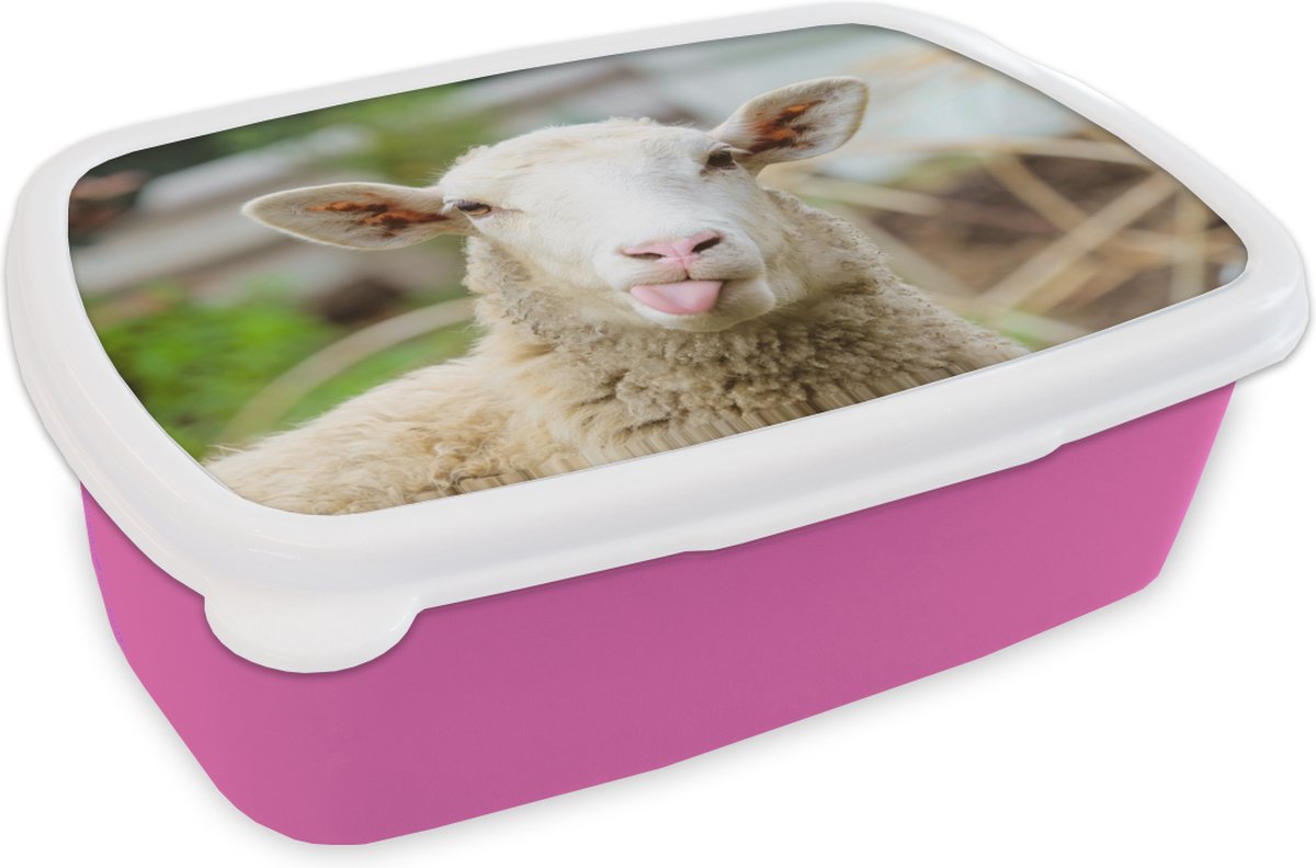 Broodtrommel Roze - Lunchbox - Brooddoos - Schaap - Dieren - Wol - 18x12x6 cm - Kinderen - Meisje