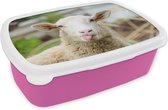 Broodtrommel Roze - Lunchbox - Brooddoos - Schaap - Dieren - Wol - 18x12x6 cm - Kinderen - Meisje