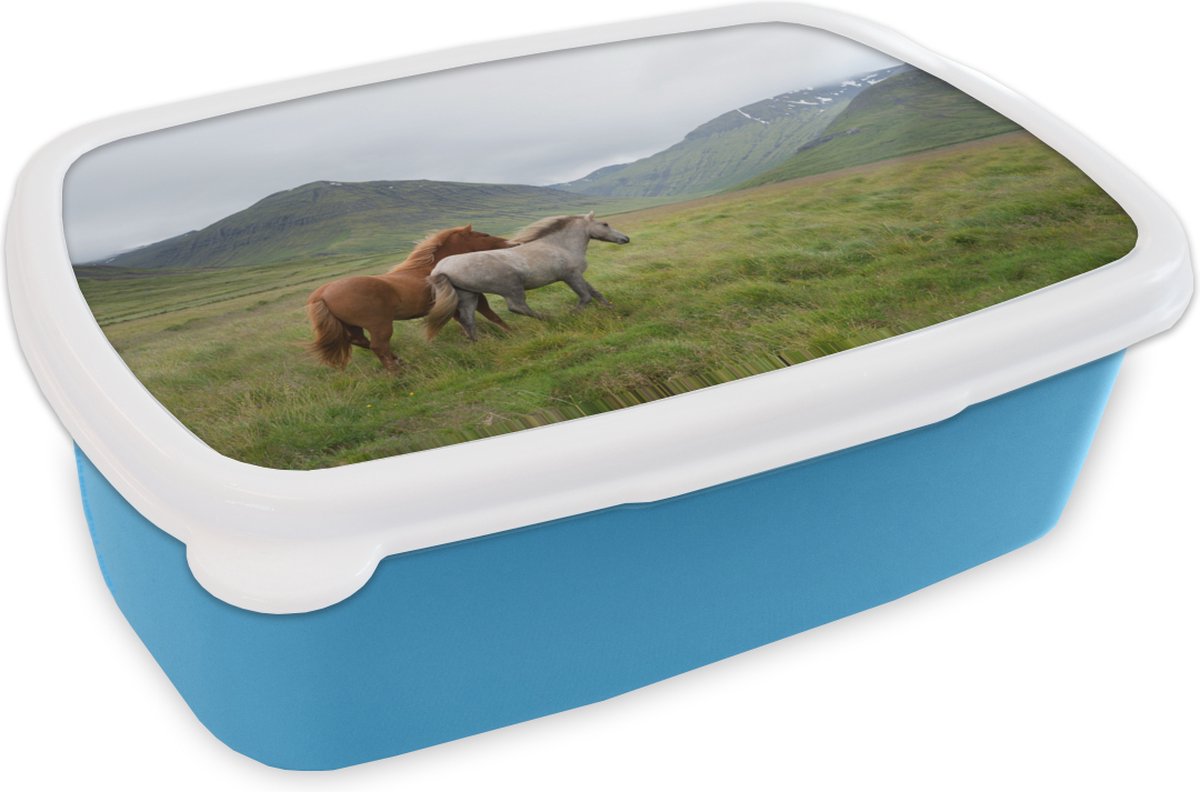 Broodtrommel Blauw - Lunchbox - Brooddoos - Paarden - Gras - Bergen - 18x12x6 cm - Kinderen - Jongen