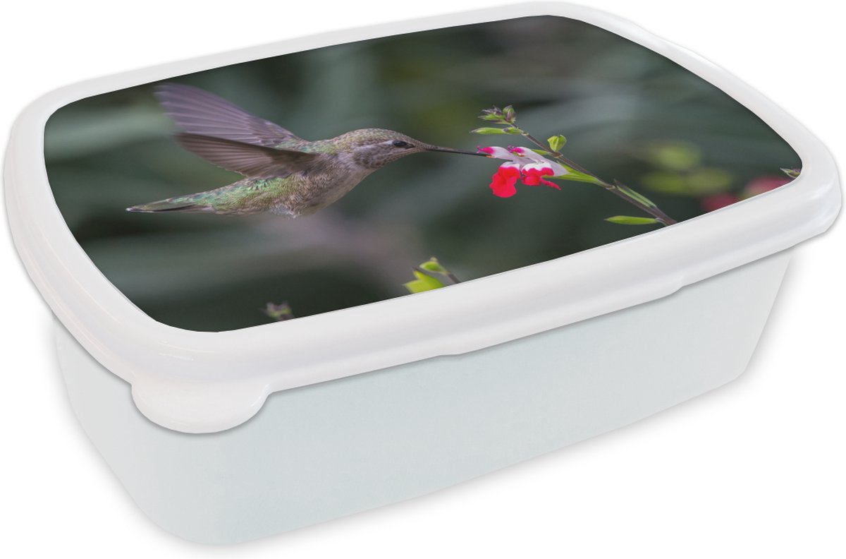 Broodtrommel Wit - Lunchbox - Brooddoos - Kolibrie - Bloem - Rood - 18x12x6 cm - Volwassenen