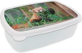 Broodtrommel Wit - Lunchbox - Brooddoos - Rode Panda - Bamboe - Groen - 18x12x6 cm - Volwassenen
