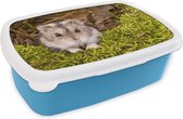 Broodtrommel Blauw - Lunchbox - Brooddoos - Grijze dwerghamster - 18x12x6 cm - Kinderen - Jongen