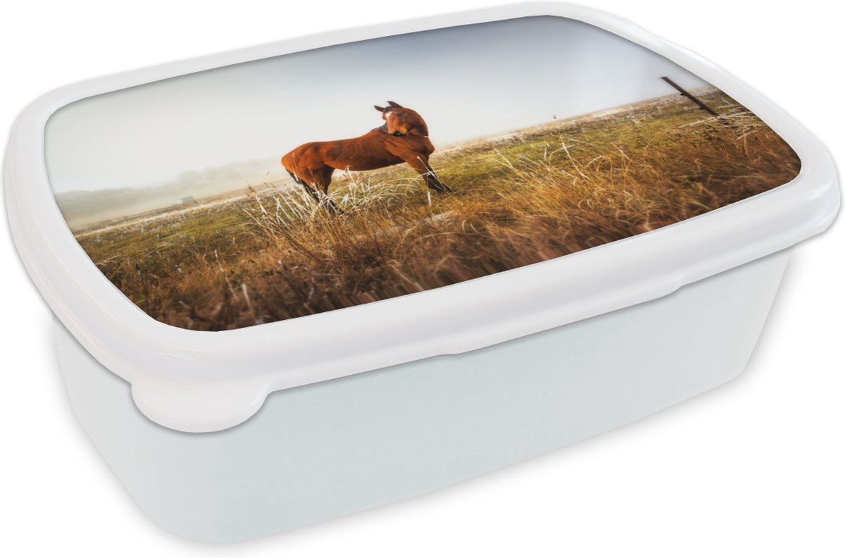 Broodtrommel Wit - Lunchbox - Brooddoos - Paard - Weiland - Australië - 18x12x6 cm - Volwassenen