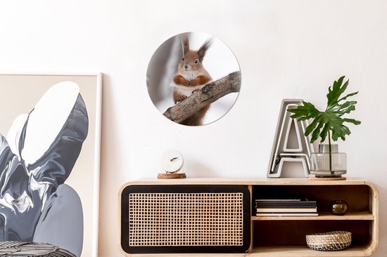 Cercle mural - Cercle mural intérieur - Écureuil - Arbre - Flocon de neige - Hiver - ⌀ 30 cm - Décoration murale - Peintures ronds