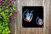 Tuindoek Kwallen - Zeedieren - Zwart - 100x100 cm