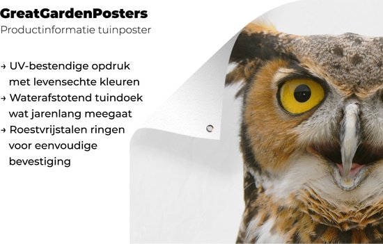 Affiche clôture Hibou - Vogel - Portrait - 200x100 cm - Toile de jardin