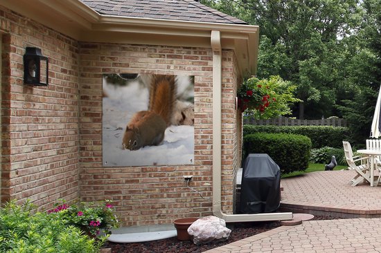 Serviette de jardin Ecureuil - Loup - Neige - Hiver - 100x100 cm