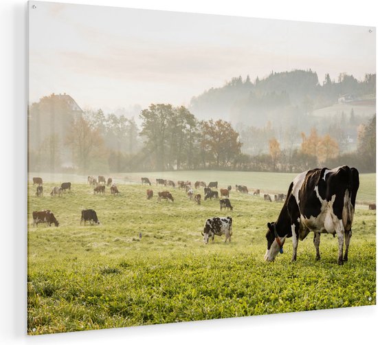 Artaza Glasschilderij - Zwart Witte Koeien In De Wei - 120x90 - Groot - Plexiglas Schilderij - Foto op Glas