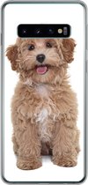 Geschikt voor Samsung Galaxy S10 hoesje - Hond - Huisdieren - Vacht - Siliconen Telefoonhoesje