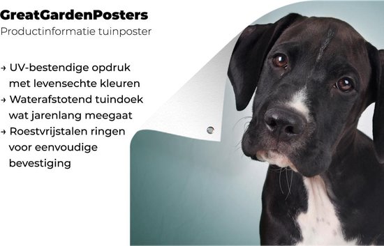 Affiche de jardin chien doux noir et blanc 200x100 cm - Toile de jardin / Toile d'extérieur / Peintures d'extérieur (décoration de jardin) XXL / Groot format!