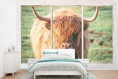 Behang - Fotobehang Schotse hooglander - Natuur - Doorkijk - Breedte 525 cm x hoogte 350 cm
