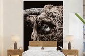 Behang - Fotobehang Schotse hooglander - Koe - Stier - Breedte 225 cm x hoogte 350 cm
