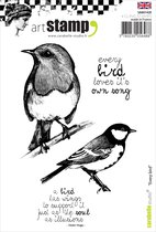 Carabelle Studio -cling stamp A6 every bird