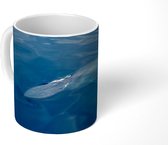 Mok - Walvis - Blauwe vinvis - Water - 350 ML - Beker