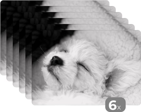 12 Süße Grußkarten Mit Bichon Frisé Welpen & Hortensien – Liebevoll Gestaltet Für Jeden Anlass
