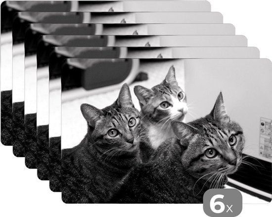 Set de table - Trois chats en triangle - noir et blanc - 45x30 cm - 6  pièces | bol