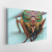 Canvas schilderij - Eyes of an insect. Portrait of a Gadfly (Fly).Hybomitra horse fly head closeup -     197882684 - 80*60 Horizontal