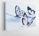 Canvas schilderij -  Productnummer   1913226 - 50*40 Horizontal