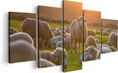 Artaza Canvas Schilderij Vijfluik Kudde Schapen bij Zonsondergang - 100x50 - Foto Op Canvas - Canvas Print