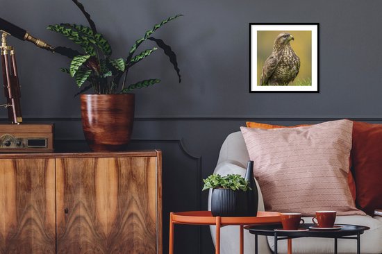 Affiche avec cadre Buzzard - Une buse est assise dans le champ - cadre photo noir - 40x40 cm - Affiche avec cadre