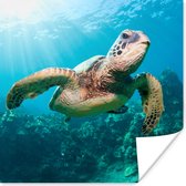 Poster Zwemmende schildpad fotoafdruk - 100x100 cm XXL