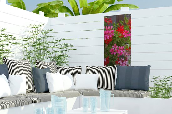 Affiche de jardin Fleurs de géranium dans le jardin - 30x60 cm