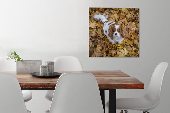 Cavalier King Charles Spaniel sous les feuilles d'automne Toile 50x50 cm - Tirage Photo sur Toile Peinture (Décoration murale Salon / Chambre) / Animaux domestiques Peintures sur Toile