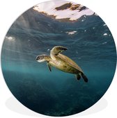 WallCircle - Wandcirkel ⌀ 60 - Schildpad in helder water - Ronde schilderijen woonkamer - Wandbord rond - Muurdecoratie cirkel - Kamer decoratie binnen - Wanddecoratie muurcirkel - Woonaccessoires