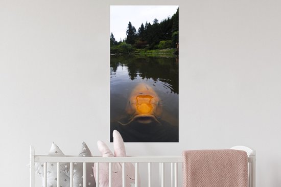 Stickers Stickers muraux - Une carpe koï géante dans l'eau - 40x80 cm - Film adhésif