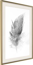 Poster Lost Feather (Grey) 20x30