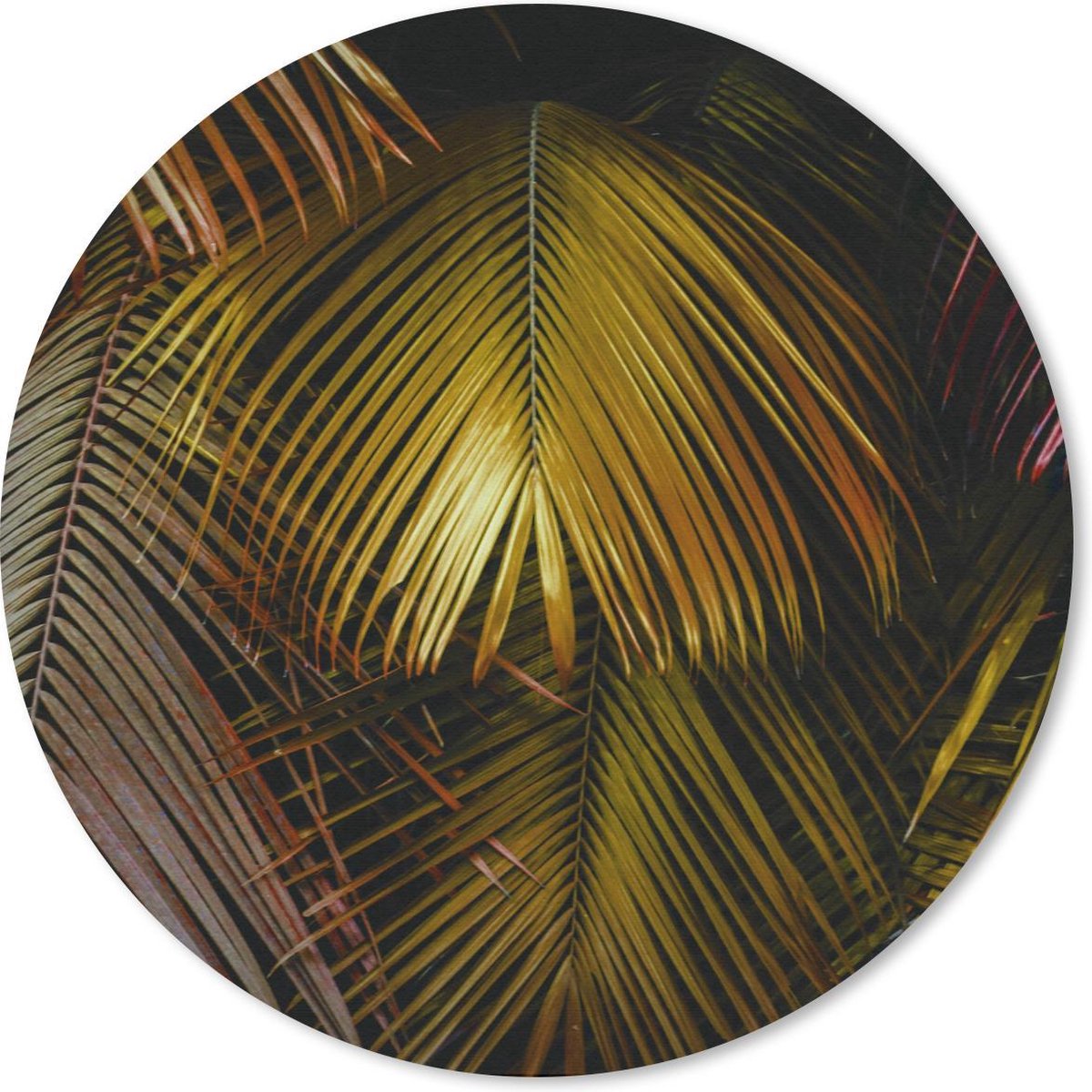 Muismat rond 20x20 cm - Mousepad Jungle - Palmboom - Goud - Ronde muismatten
