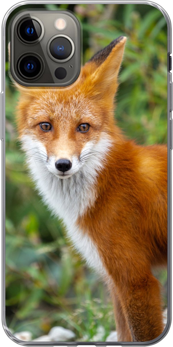 Telefoonhoesje Geschikt voor iPhone 13 Pro hoesje - Vos - Oranje - Bos - Siliconen Telefoonhoesje Telefoonhoesje