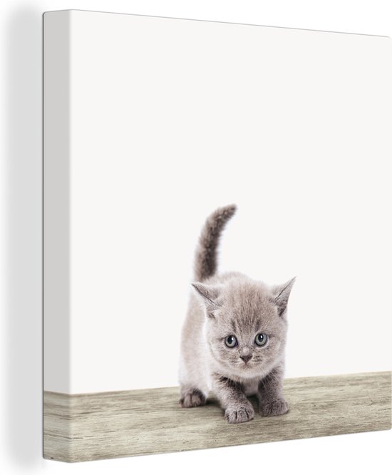 Canvasdoek kinderen - Schilderij voor kinderen - Kids - Kitten - Huisdieren - Kat - Canvas schilderij dieren - Muurdecoratie - 20x20 cm