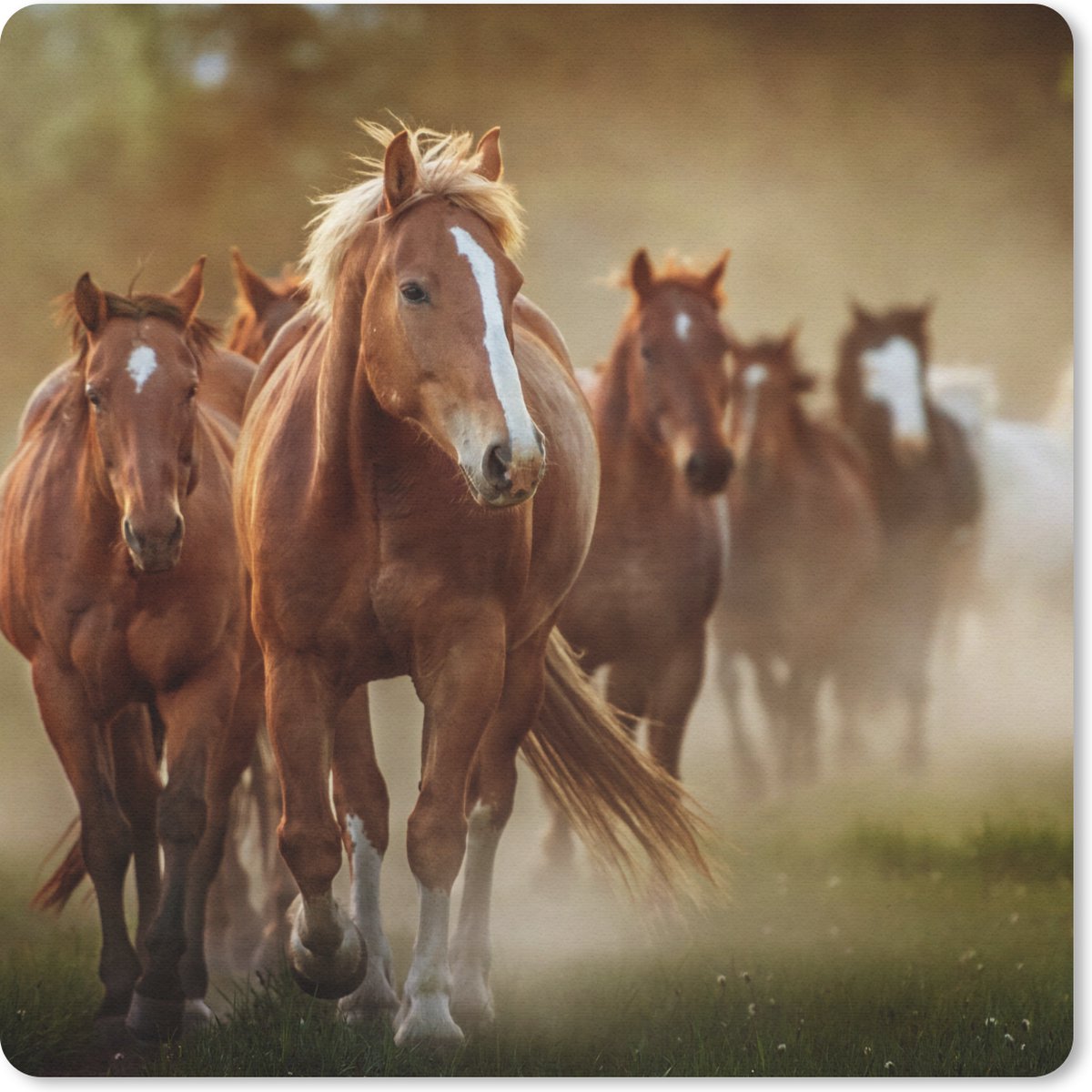 Muismat 30x30 cm - Mousepad Paarden - Licht - Natuur - Muismatten