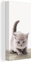 Canvasdoek kinderen - Schilderij voor kinderen - Kids - Kitten - Huisdieren - Kat - Canvas schilderij dieren - Muurdecoratie - 20x40 cm