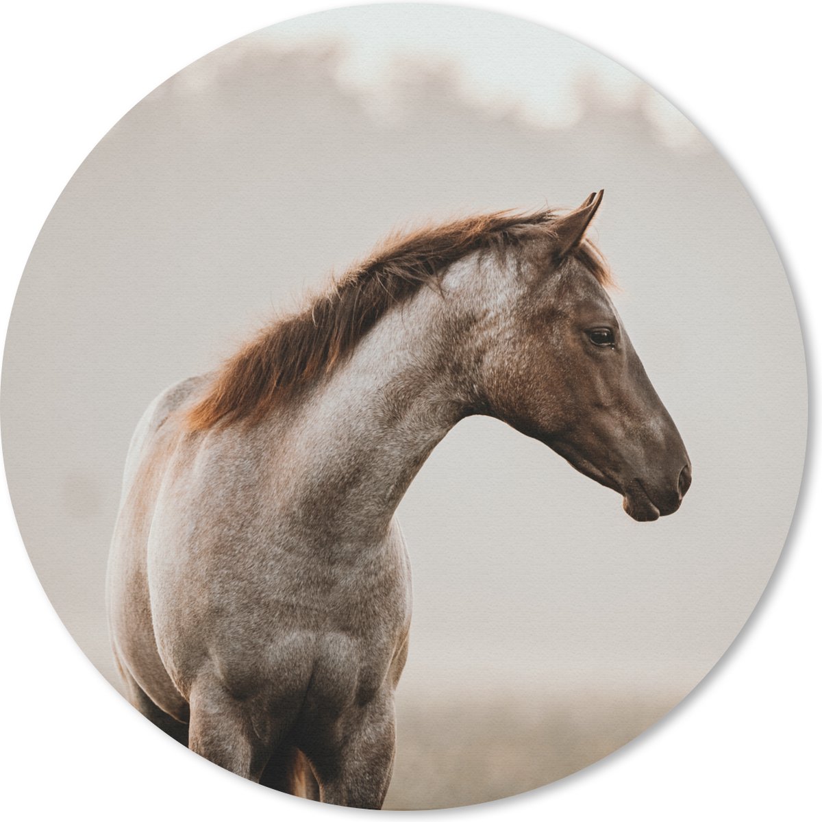 Muismat rond 20x20 cm - Mousepad Paard - Mist - Natuur - Ronde muismatten