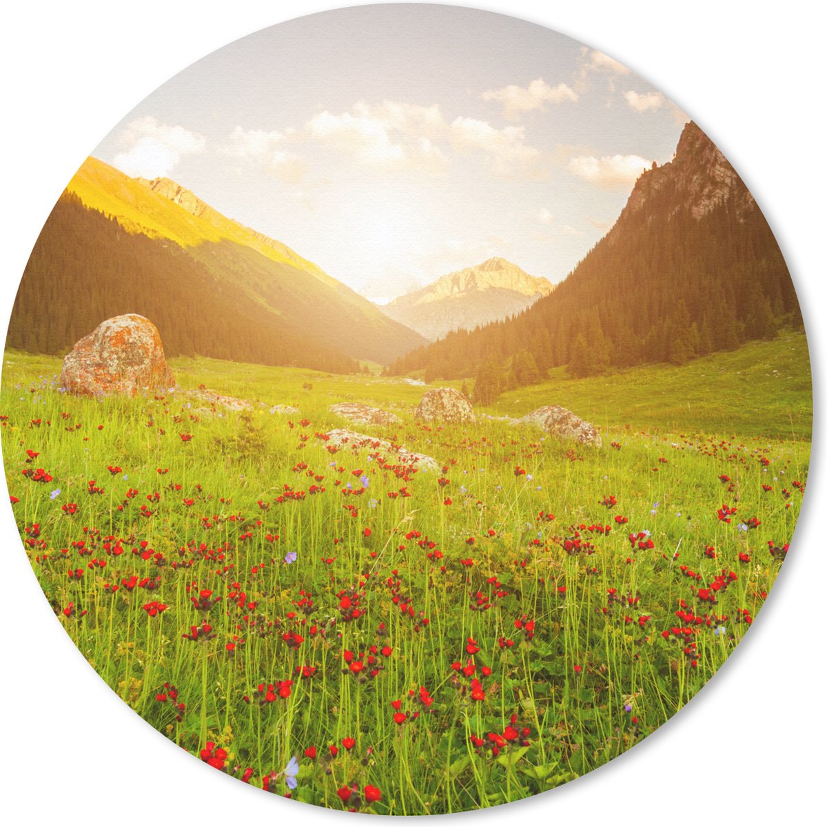 Muismat rond 40x40 cm - Mousepad Bloemen - Berg - Zon - Ronde muismatten