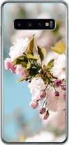 Geschikt voor Samsung Galaxy S10 hoesje - Bloemen - Bloesem - Lente - Siliconen Telefoonhoesje