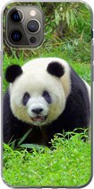 Geschikt voor iPhone 12 Pro hoesje - Panda - Gras - Dier - Siliconen Telefoonhoesje