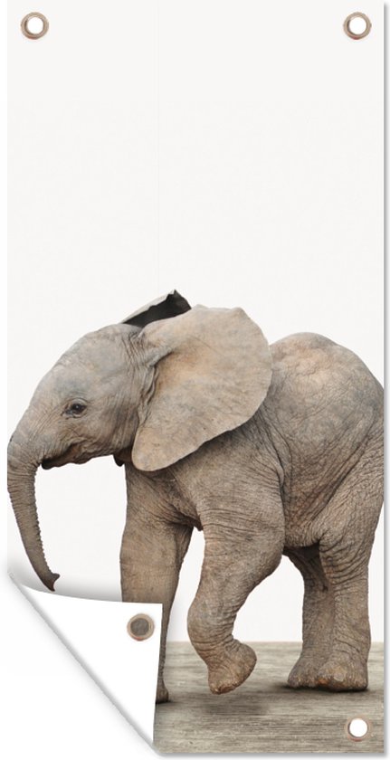 Tuinposter Baby olifant - Dieren - Olifant - Kinderen - Meiden - Jongens - 40x80 cm - Wanddecoratie Buiten - Tuinposter - Tuindoek - Schuttingposter - Tuinschilderij
